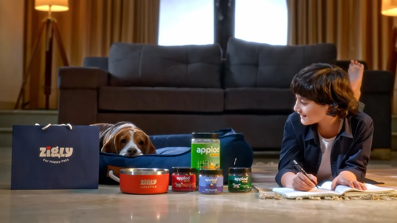Elevate Your Pet's Lifestyle Today